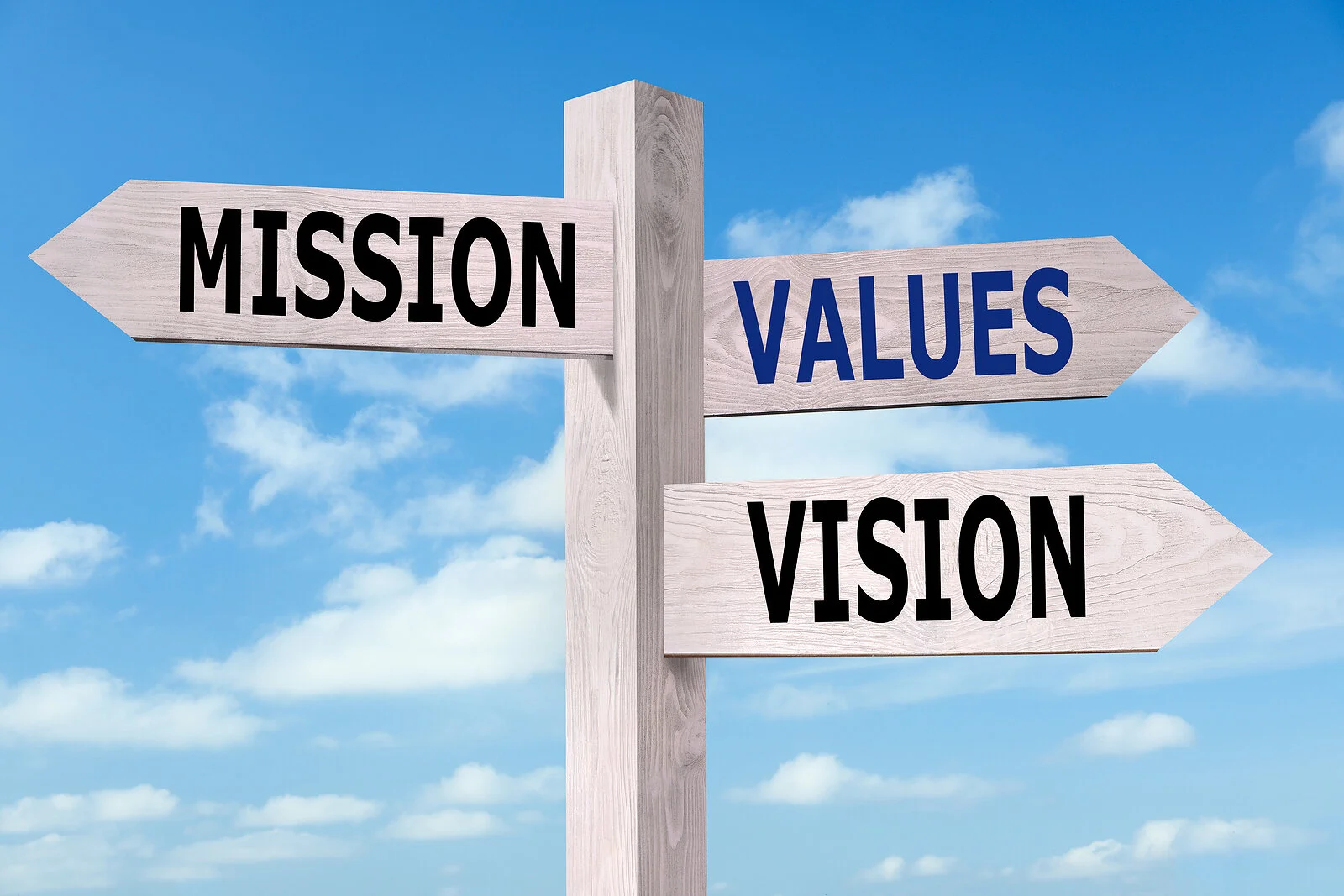 Mission Vision Values